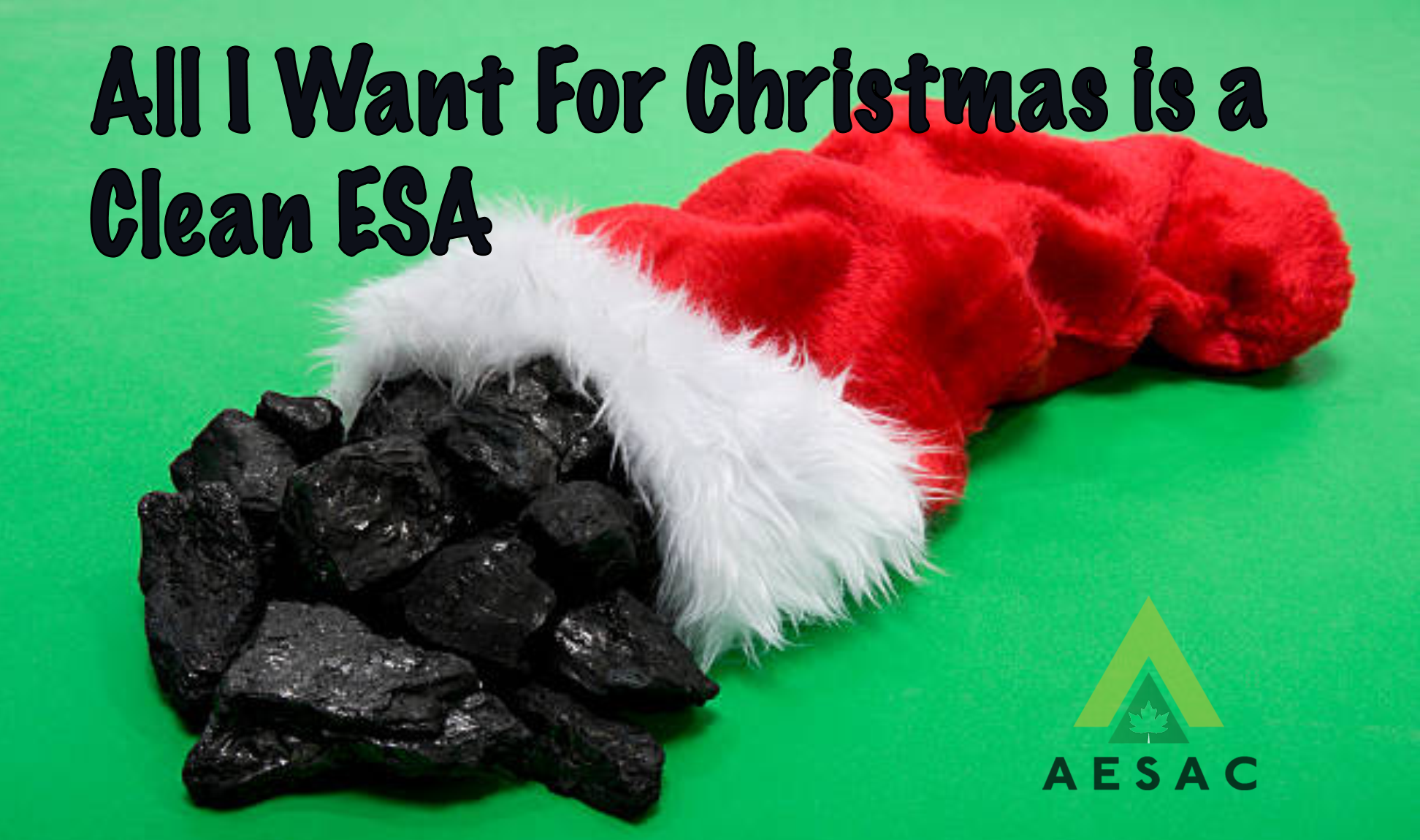 All I Want for Christmas is a 'Clean' ESA