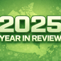 2025 - Year in Review