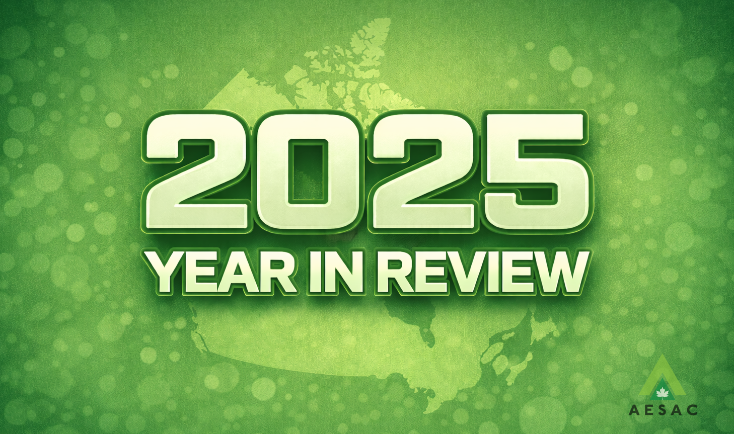 2025 - Year in Review